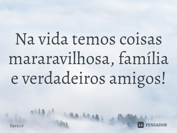 ⁠Na vida temos coisas mararavilhosa, família e verdadeiros amigos!... Frase de Savio.v.