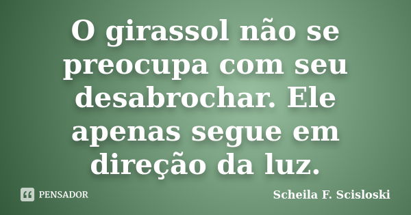 O girassol não se preocupa com seu desabrochar. Ele apenas segue em direção da luz.... Frase de Scheila F. Scisloski.