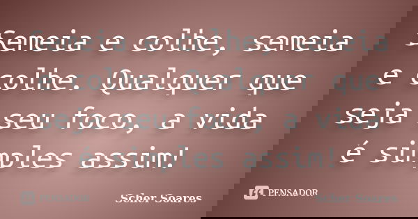 Semeia e colhe, semeia e colhe. Qualquer que seja seu foco, a vida é simples assim!... Frase de Scher Soares.