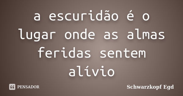 a escuridão é o lugar onde as almas feridas sentem alívio... Frase de Schwarzkopf Egd.