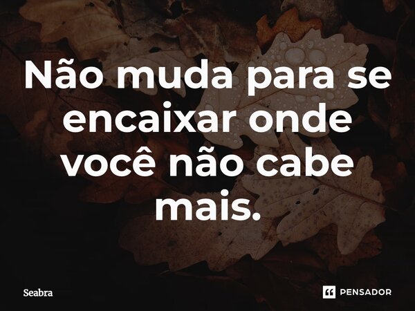 ⁠Não muda para se encaixar onde você não cabe mais.... Frase de Seabra.