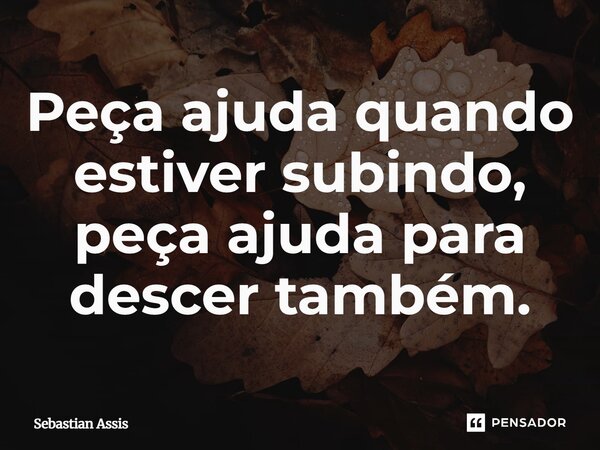 Peça ajuda quando estiver subindo, peça ajuda para descer também.⁠... Frase de Sebastian Assis.