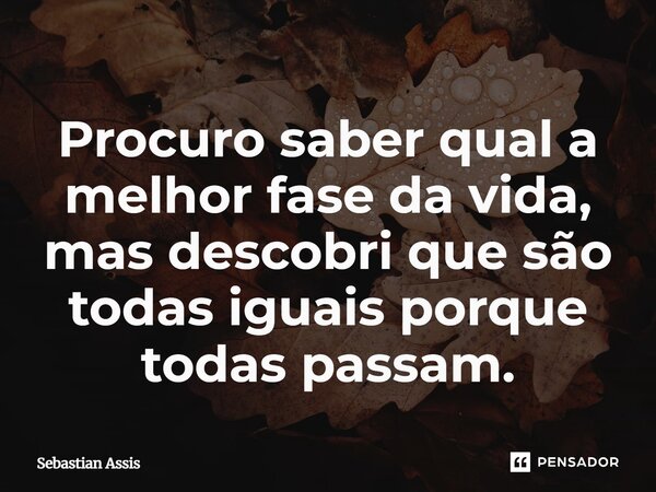 Procuro saber qual a melhor fase da vida, mas descobri que são todas iguais porque todas passam.⁠... Frase de Sebastian Assis.