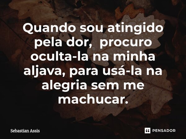 Quando sou atingido pela dor, procuro ocultá-la na minha aljava, para usá-la na alegria sem me machucar.... Frase de Sebastian Assis.