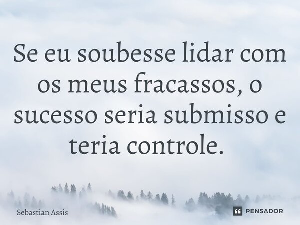 Se eu soubesse lidar com os meus fracassos, o sucesso seria submisso e teria controle. ⁠... Frase de Sebastian Assis.