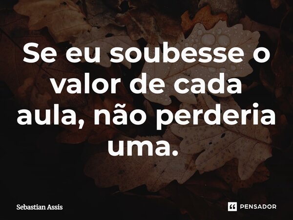 Se eu soubesse o valor de cada aula, não perderia uma. ⁠... Frase de Sebastian Assis.