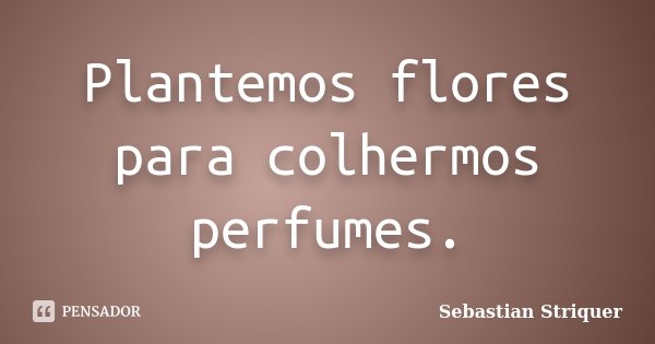 Plantemos flores para colhermos perfumes.... Frase de Sebastian Striquer.