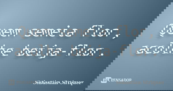 Quem semeia flor, acolhe beija-flor.... Frase de Sebastian Striquer.