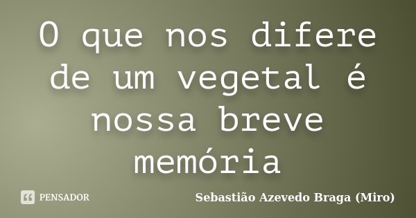 O que nos difere de um vegetal é nossa breve memória... Frase de Sebastião Azevedo Braga (Miro).