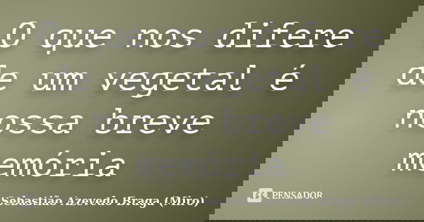 O que nos difere de um vegetal é nossa breve memória... Frase de Sebastião Azevedo Braga (Miro).