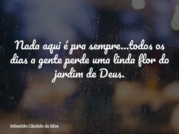 Nada aqui é pra sempre...todos os dias a gente perde uma linda flor do jardim de Deus.⁠... Frase de Sebastião Cândido da Silva.