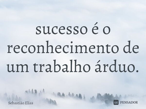 ⁠sucesso é o reconhecimento de um trabalho árduo.... Frase de Sebastião Elias.