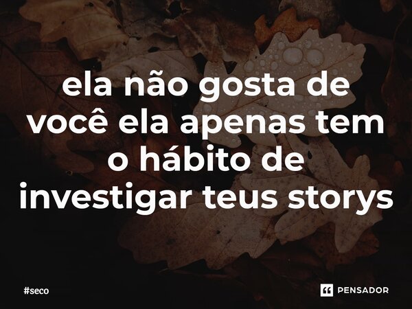 ⁠ela não gosta de você ela apenas tem o hábito de investigar teus storys... Frase de seco.