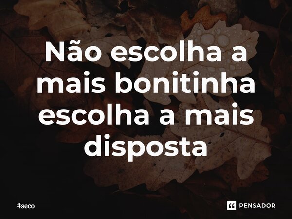 Não escolha a mais bonitinha escolha a mais disposta... Frase de seco.