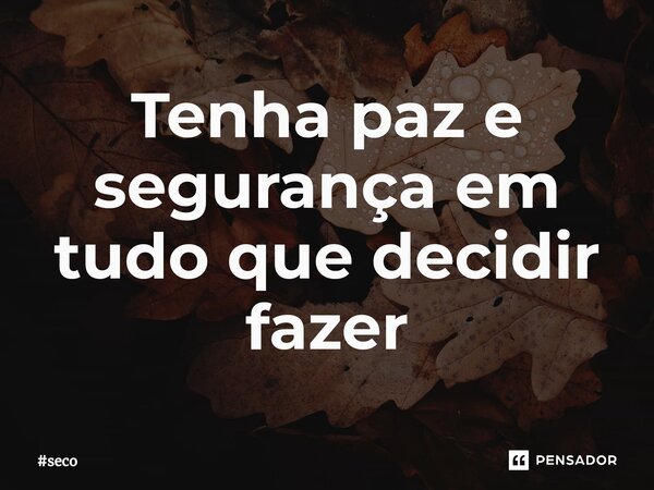 Tenha paz e segurança em tudo que decidir fazer⁠... Frase de seco.