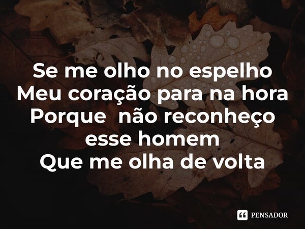 ⁠Se me olho no espelho Meu coração para na hora Porque não reconheço esse homem Que me olha de volta