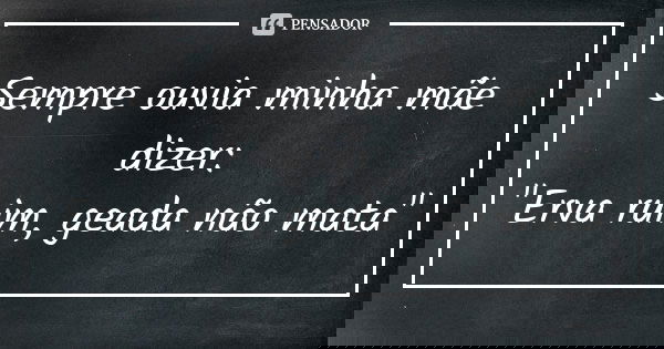 Sempre ouvia minha mãe dizer: "Erva ruim, geada não mata"