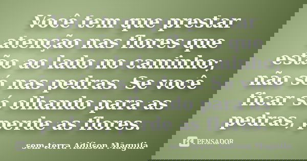 Você tem que prestar atenção nas flores que estão ao lado no caminho; não só nas pedras. Se você ficar só olhando para as pedras, perde as flores.... Frase de sem-terra Adílson Maguila.