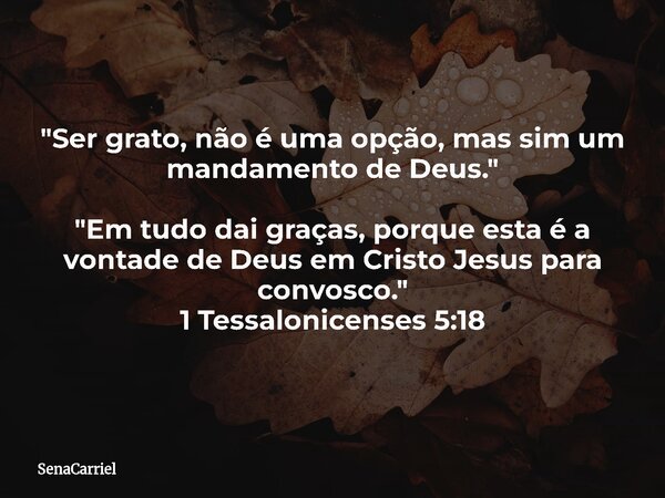 "Ser grato, não é uma opção, mas sim um mandamento de Deus." "Em tudo dai graças, porque esta é a vontade de Deus em Cristo Jesus para convosco.&... Frase de SenaCarriel.