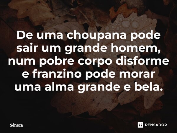 ⁠De uma choupana pode sair um grande homem, num pobre corpo disforme e franzino pode morar uma alma grande e bela.... Frase de Sêneca.