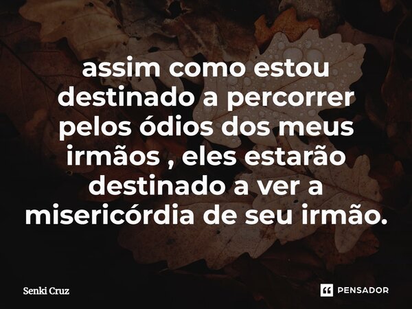 ⁠assim como estou destinado a percorrer pelos ódios dos meus irmãos , eles estarão destinado a ver a misericórdia de seu irmão.... Frase de Senki Cruz.