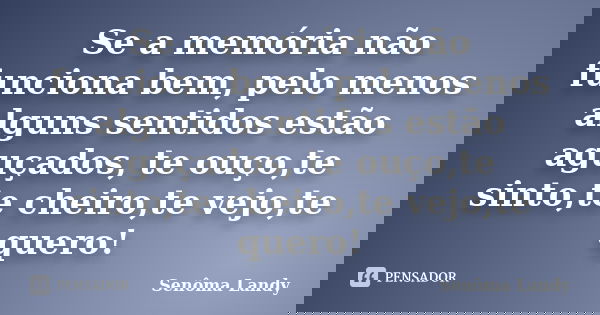 Se a memória não funciona bem, pelo menos alguns sentidos estão aguçados, te ouço,te sinto,te cheiro,te vejo,te quero!... Frase de Senôma Landy.