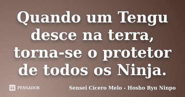 Quando um Tengu desce na terra, torna-se o protetor de todos os Ninja.... Frase de Sensei Cícero Melo - Hosho Ryu Ninpo.