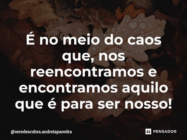 ⁠É no meio do caos que, nos reencontramos e encontramos aquilo que é para ser nosso!... Frase de seredescubra.andreiaparedra.