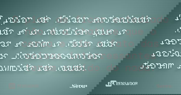O pior de ficar entediado não é a chatice que o cerca e sim o fato das coisas interressantes terem sumido do nada.... Frase de Sereu.