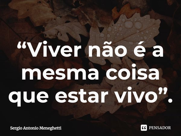 ⁠“Viver não é a mesma coisa que estar vivo”.... Frase de Sergio Antonio Meneghetti.