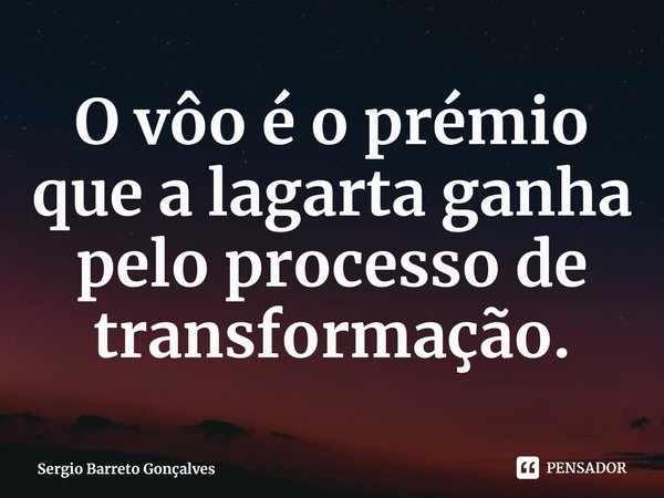 ⁠O vôo é o prémio que a lagarta ganha pelo processo de transformação.... Frase de Sergio Barreto Gonçalves.