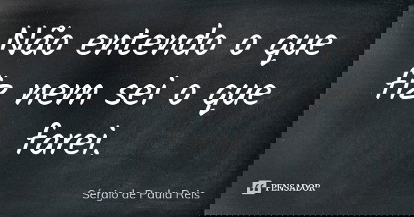 Não entendo o que fiz nem sei o que farei.... Frase de Sérgio de Paula Reis.
