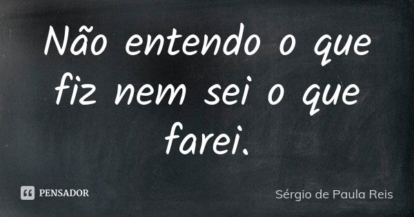 Não entendo o que fiz nem sei o que farei.... Frase de Sérgio de Paula Reis.