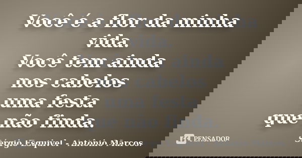 Você é a flor da minha vida. Você tem ainda nos cabelos uma festa que não finda.... Frase de Sérgio Esquivel - Antônio Marcos..