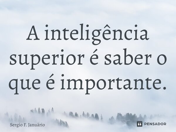 ⁠A inteligência superior é saber o que é importante.... Frase de Sergio F. Januario.