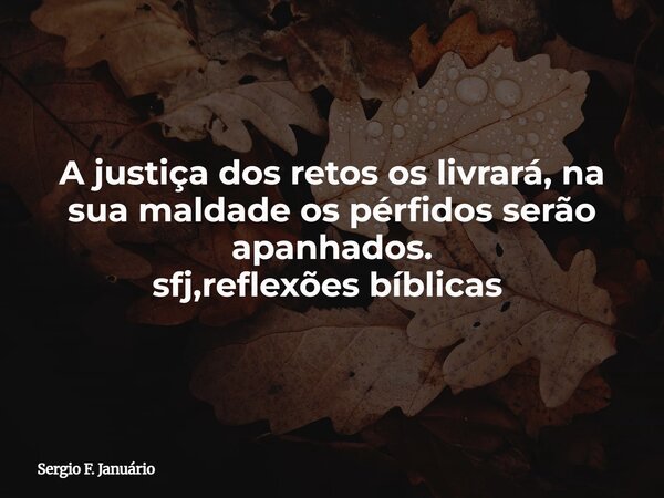 A justiça dos retos os livrará, na sua maldade os pérfidos serão apanhados. sfj,reflexões bíblicas ⁠... Frase de Sergio F. Januário.