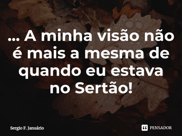 ⁠... A minha visão não é mais a mesma de quando eu estava no Sertão!... Frase de Sergio F. Januario.