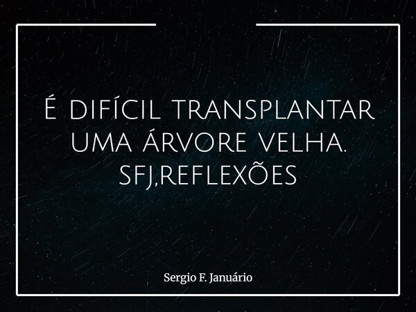 É difícil transplantar uma árvore velha. sfj,reflexões⁠... Frase de Sergio F. Januário.