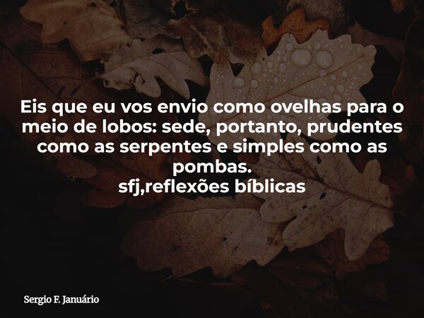 Eis que eu vos envio como ovelhas para o meio de lobos: sede, portanto, prudentes como as serpentes e simples como as pombas. sfj,reflexões bíblicas⁠... Frase de Sergio F. Januário.