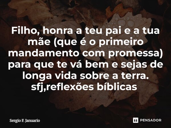 Filho, honra a teu pai e a tua mãe (que é o primeiro mandamento com promessa) para que te vá bem e sejas de longa vida sobre a terra. sfj,reflexões bíblicas ⁠... Frase de Sergio F. Januário.