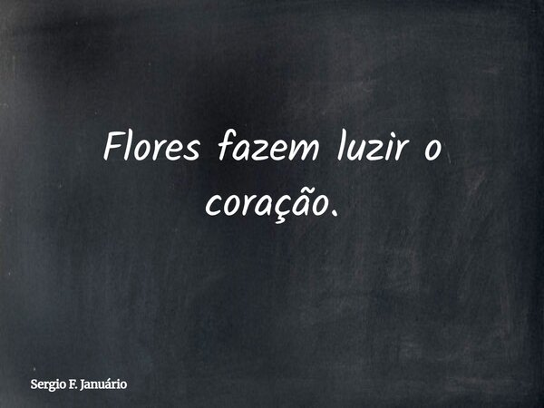 Flores fazem luzir o coração.... Frase de Sergio F. Januário.