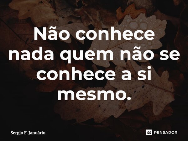 ⁠Não conhece nada quem não se conhece a si mesmo.... Frase de Sergio F. Januario.