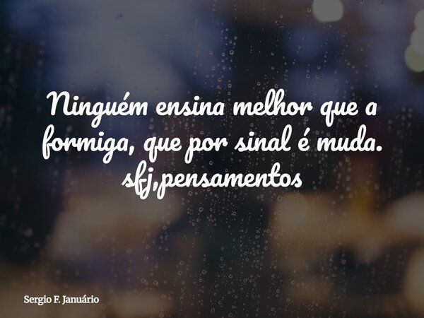 ⁠Ninguém ensina melhor que a formiga, que por sinal é muda. sfj,pensamentos... Frase de Sergio F. Januário.