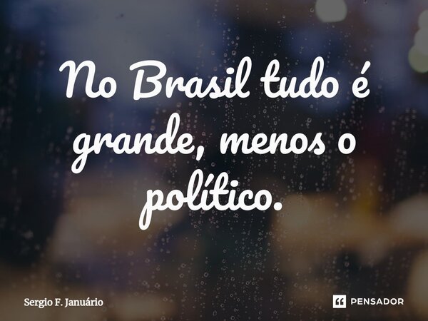 ⁠No Brasil tudo é grande, menos o político.... Frase de Sergio F. Januario.