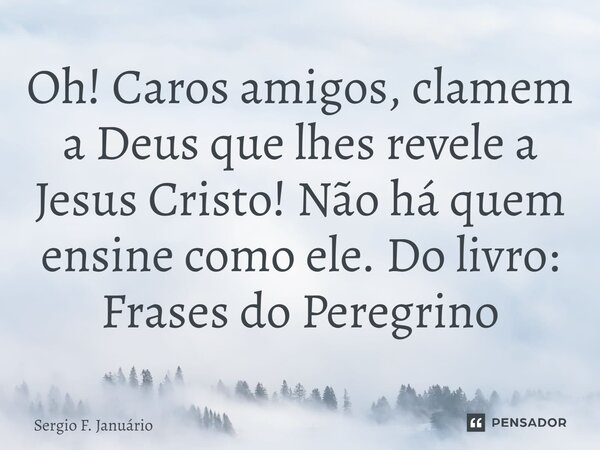 ⁠Oh! Caros amigos, clamem a Deus que lhes revele a Jesus Cristo! Não há quem ensine como ele. Do livro: Frases do Peregrino... Frase de Sergio F. Januario.