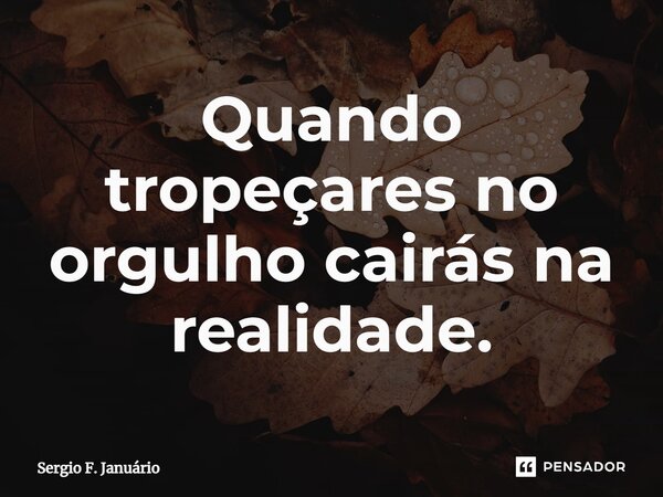⁠Quando tropeçares no orgulho cairás na realidade.... Frase de Sergio F. Januario.