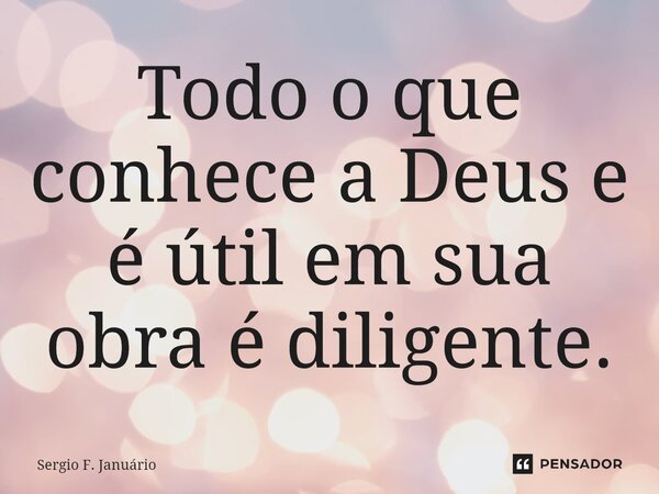 ⁠Todo o que conhece a Deus e é útil em sua obra é diligente.... Frase de Sergio F. Januario.