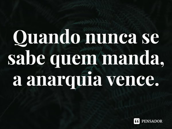 ⁠Quando nunca se sabe quem manda, a anarquia vence.... Frase de Sérgio Figueiredo.