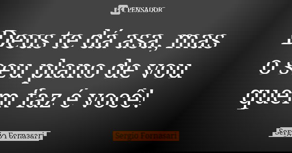 Deus te dá asa, mas o seu plano de vou quem faz é você!... Frase de Sergio Fornasari.