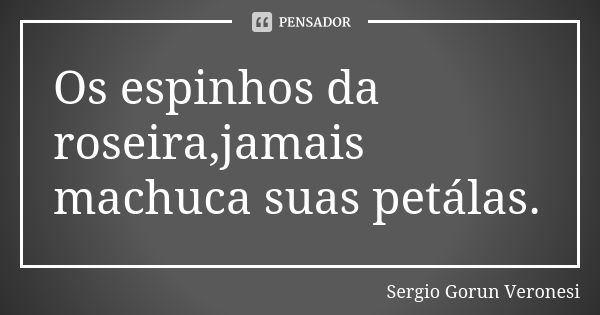 Os espinhos da roseira,jamais machuca suas petálas.... Frase de Sergio Gorun Veronesi.